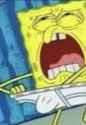 Sponge NUT