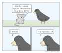 123 KB
