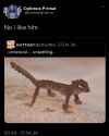358 KB