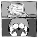 273 KB