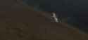 3.5 MB