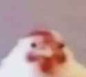 9 KB