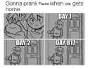 430 KB