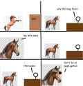 horse.png
