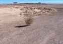 tumbleweed-acegif-19-2475485328.gif