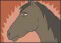 Unamused horse.png