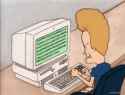 219 KB