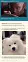2.38 MB