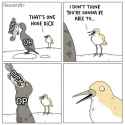 72 KB