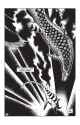 547 KB