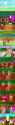 2.06 MB