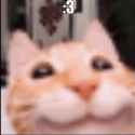 65 KB