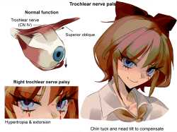730 KB