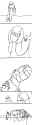 22 KB