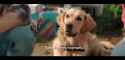 47 KB