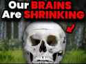 14 KB