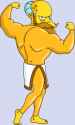 56 KB
