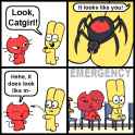 152 KB