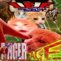 1.93 MB