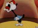 409 KB