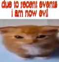 411 KB
