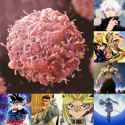 515 KB