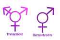 Gender Symbols