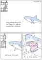 shark empathy