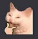 catcatcat