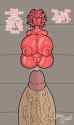 sample_c640b41688a786dac9d27b34d21ced60