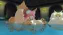 Cat Pool Toy
