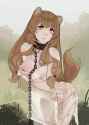sample_c351e30c5f882e2d2ee712b06fbd8340