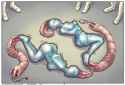 carla_s_return_ending_internal__by_ghrolath4_dg06uqw-fullview