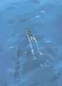 twitter_ポテバ(@POTABIR1208)_20250605-032906_1930466884723585468_photo