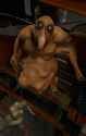 Cascadance21 - fly-guy_vore+encasement