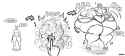 comm___brand_new_woman_v2_by_megalozwei_dhb64th-fullview