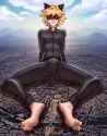 pariscrush