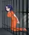 restraints
