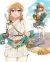 __link_the_legend_of_zelda_and_1_more_drawn_by_ttanuu__aef74a71301275315cab371966aee7e9