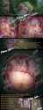 3.21 MB