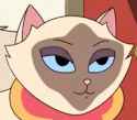 cat sagwa raised eyebrow amused