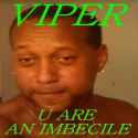 1729449743994129 viper