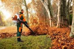 Stihl-BR700-leaf-blowers