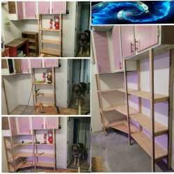 Shelves 