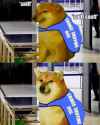 cringe stniffing dog doge