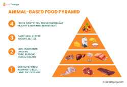 animal base food