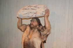 800px-homo-neanderthalensis-lifting-rock-close-reconstruction-museum-neandertal