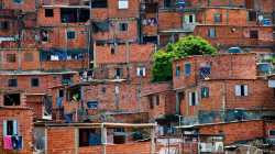 favela