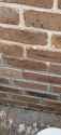 bricks