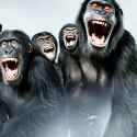 ape_world_order1